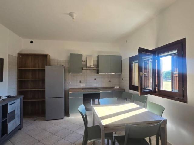 Appartamento in affitto a Castelfranco Emilia MO