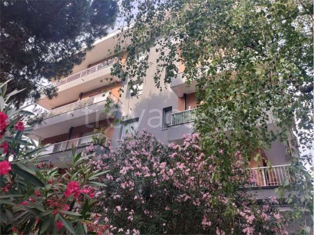 Appartamento in affitto a Castellanza viale don Minzoni, arredato, ristrutturato, balcone TrovaCasa