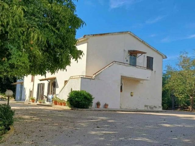 Appartamento in affitto a Capalbio GR