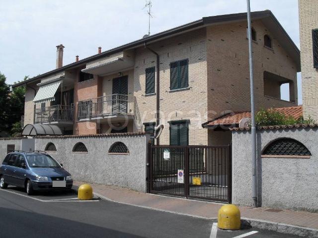 Appartamento in affitto a Carugate via Giuseppe Mazzini, 15/b, non arredato/vuoto, giardino privato, terrazzo TrovaCasa
