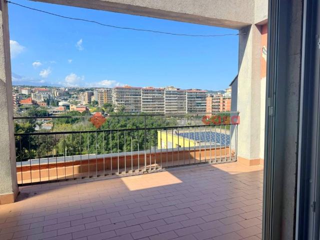 Appartamento in affitto a Catania CT