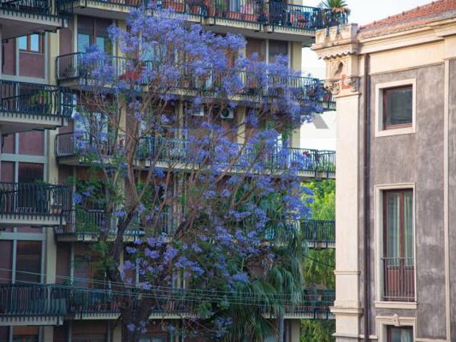 Appartamento in affitto a Catania, Zona centro