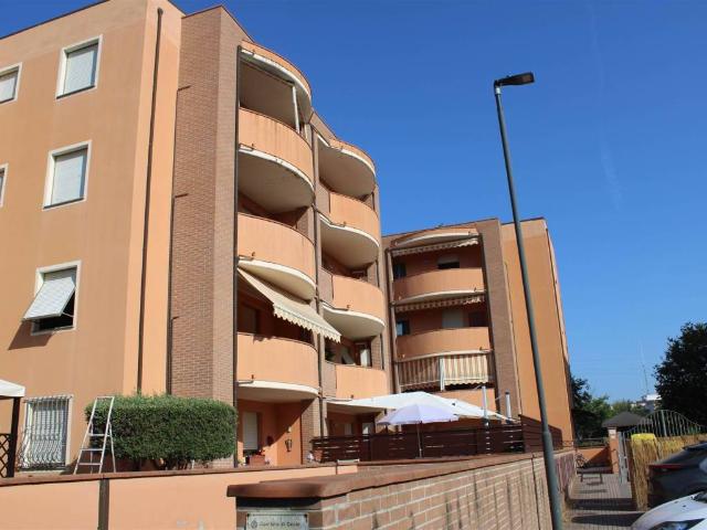 Appartamento in affitto a Cecina LI