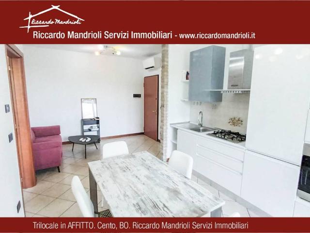Appartamento in affitto a Cento FE