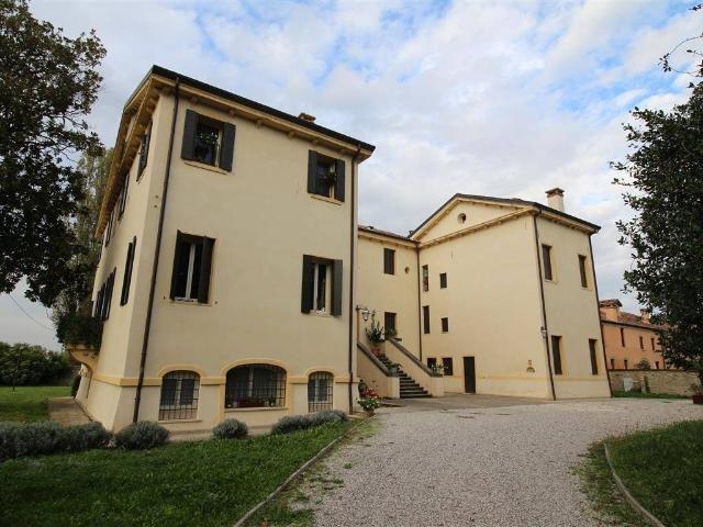 Appartamento in affitto a Cervarese Santa Croce PD
