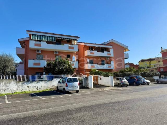Appartamento in affitto a Cerveteri via a. Consalvi, luminoso, balcone TrovaCasa