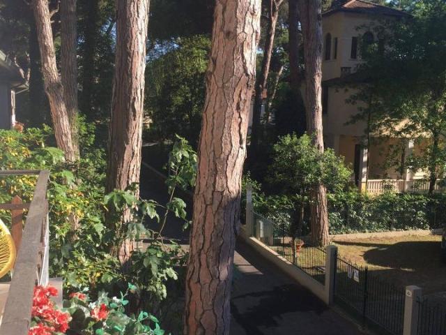 Appartamento in affitto a Cervia