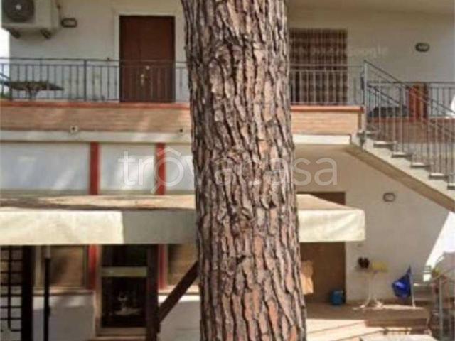Appartamento in affitto a Cervia saturno, arredato, posto auto, ingresso indipendente TrovaCasa