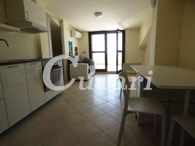 Appartamento in affitto a Ciampino RM