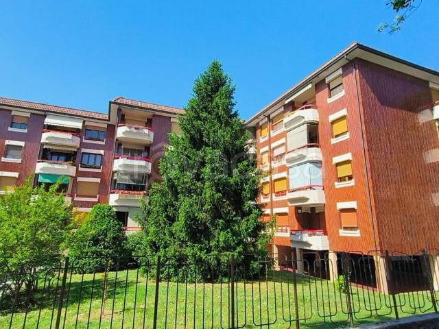 Appartamento in affitto a Codogno via Mario Borsa, 5, non arredato/vuoto, giardino, box TrovaCasa