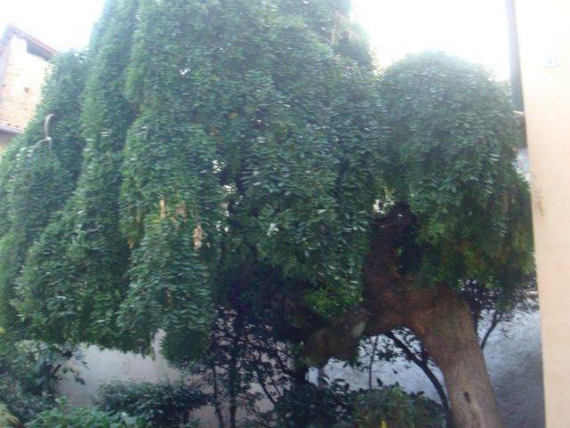 Appartamento in affitto a Colle Brianza LC
