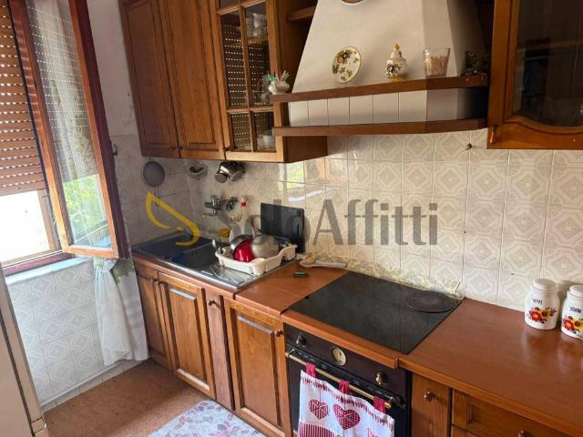Appartamento in affitto a Collesalvetti LI