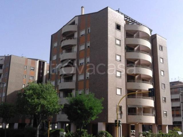 Appartamento in affitto a Cosenza, arredato, terrazzo, vista panoramica TrovaCasa