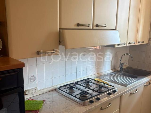 Appartamento in affitto a Correggio viale Vittorio Saltini, 2, arredato, box, terrazzo TrovaCasa