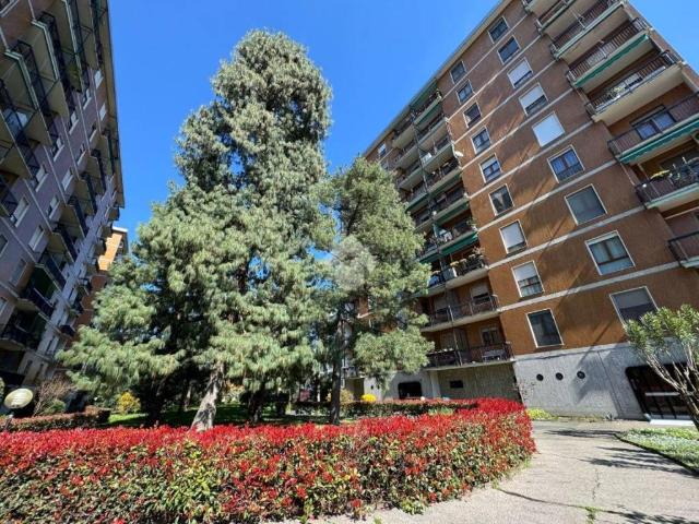 Appartamento in affitto a Corsico MI