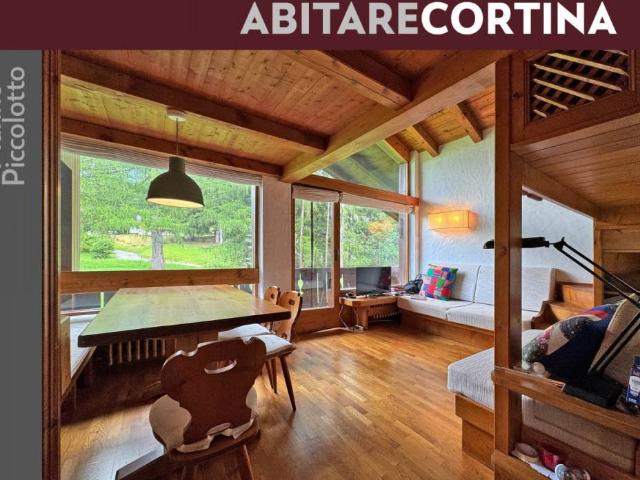 Appartamento in affitto a Cortina d'Ampezzo BL