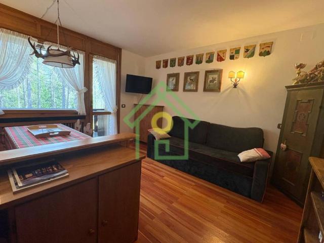 Appartamento in affitto a Cortina d'Ampezzo BL