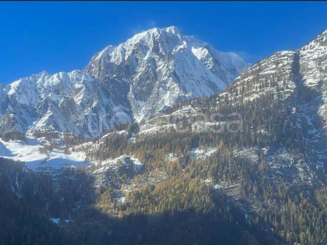 Appartamento in affitto a Courmayeur, box, terrazzo, caminetto TrovaCasa