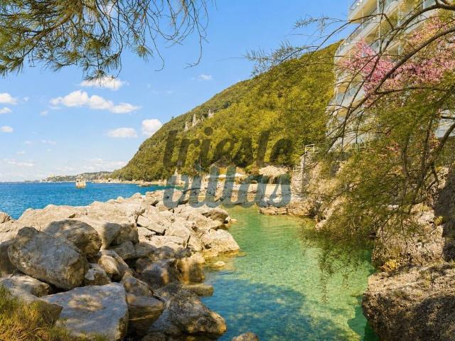 Appartamento in affitto a Duino Aurisina TS
