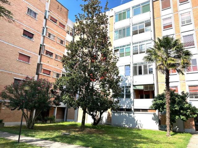 Appartamento in affitto a Ferrara FE