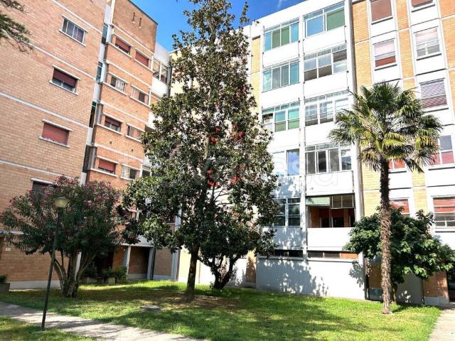 Appartamento in affitto a Ferrara via Germoglio, arredato, giardino, box TrovaCasa