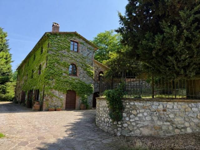 Appartamento in affitto a Ficulle TR
