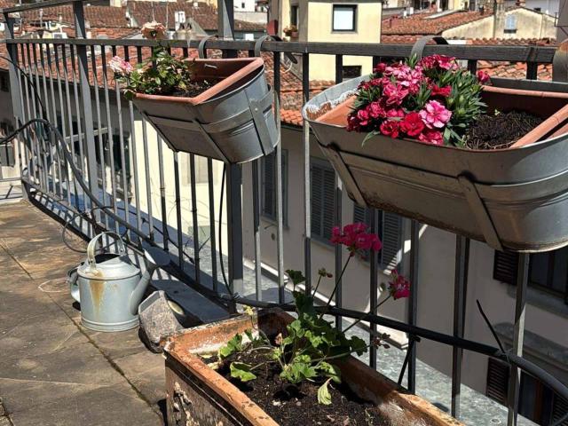 Appartamento in affitto a Firenze