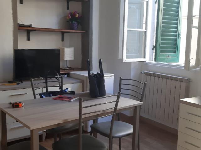 APPARTAMENTO in AFFITTO a FIRENZE CENTRO OLTRARNO / S. SPIRITO / S.FREDIANO di 1 vani