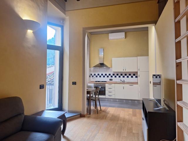 APPARTAMENTO in AFFITTO a FIRENZE CENTRO OLTRARNO / S. SPIRITO / S.FREDIANO di 3 vani