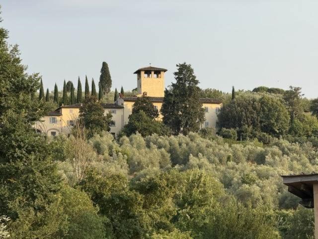 Appartamento in affitto a Firenze, arredato, terrazzo, ristrutturato TrovaCasa