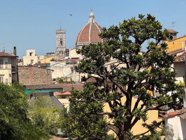 Appartamento in affitto a Firenze borgo La Croce, arredato, posto auto, aria condizionata TrovaCasa