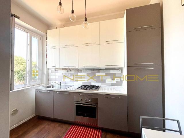 Appartamento in affitto a Firenze FI