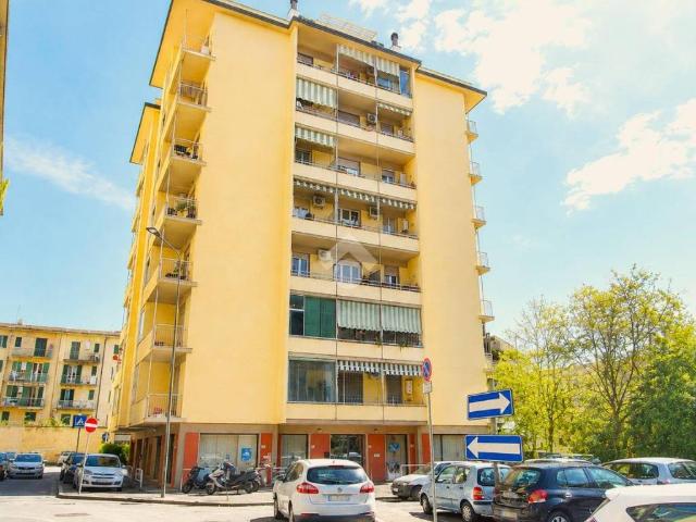 Appartamento in affitto a Firenze FI