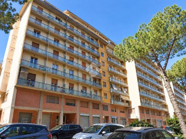 Appartamento in affitto a Firenze FI