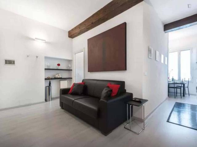 Appartamento in affitto a Firenze FI