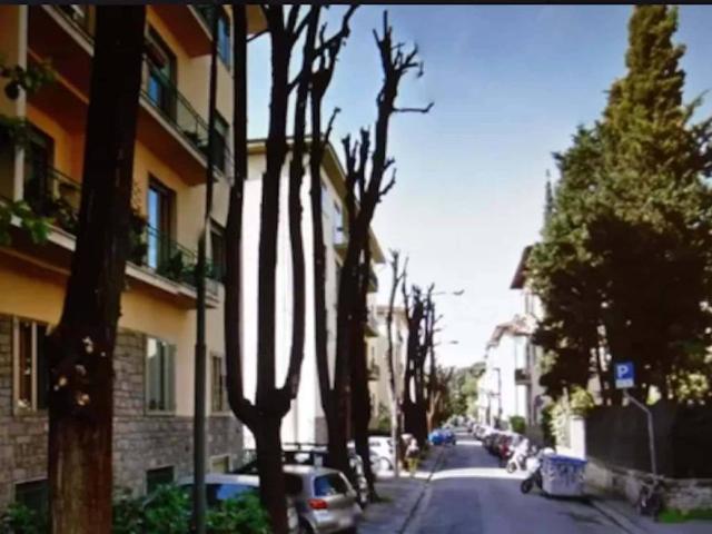 Appartamento in affitto a Firenze FI