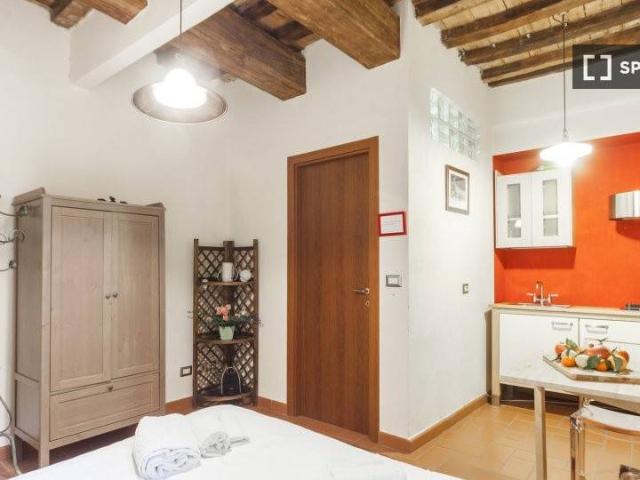 Appartamento in affitto a Firenze FI