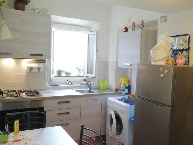 Appartamento in affitto a Firenze FI