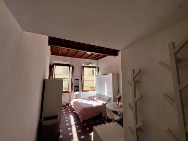 Appartamento in affitto a Firenze FI