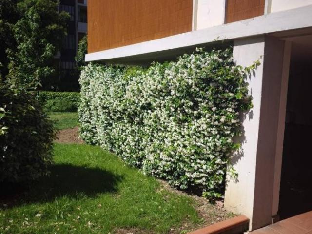 Appartamento in affitto a Firenze FI