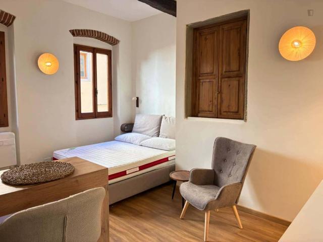 Appartamento in affitto a Firenze FI