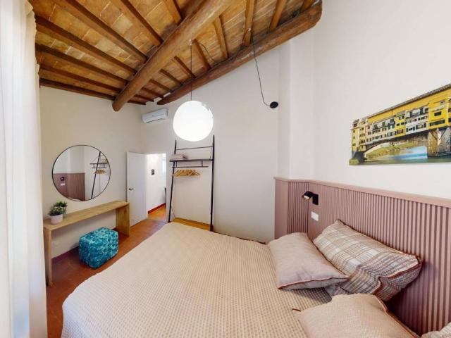 Appartamento in affitto a Firenze FI