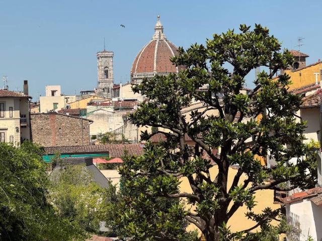 Appartamento in affitto a Firenze FI