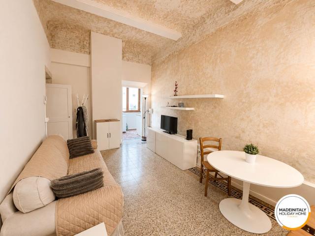 APPARTAMENTO in AFFITTO a FIRENZE SANTO SPIRITO di 4 vani