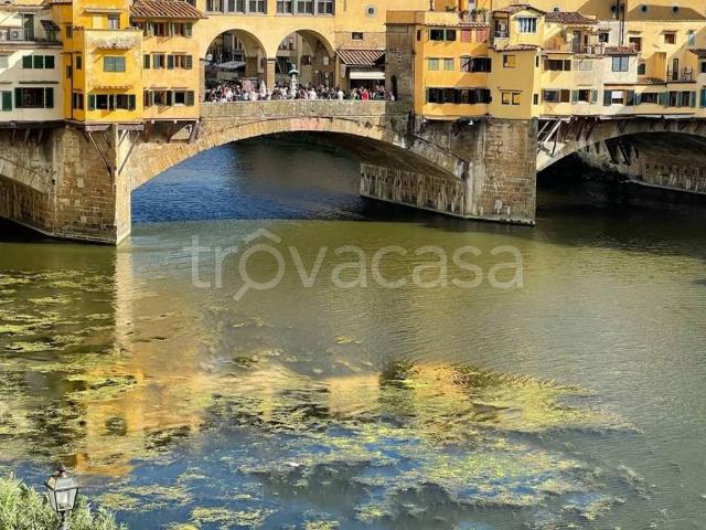 Appartamento in affitto a Firenze ponte Vecchio No Number, arredato, ascensore, lavatrice TrovaCasa