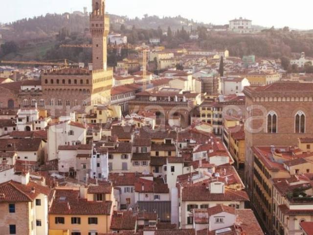Appartamento in affitto a Firenze via Maggio, 9, arredato, ascensore, cucina abitabile TrovaCasa