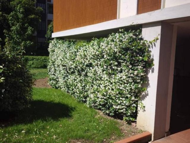 Appartamento in affitto a Firenze via Carlo Pisacane, arredato, luminoso, balcone TrovaCasa