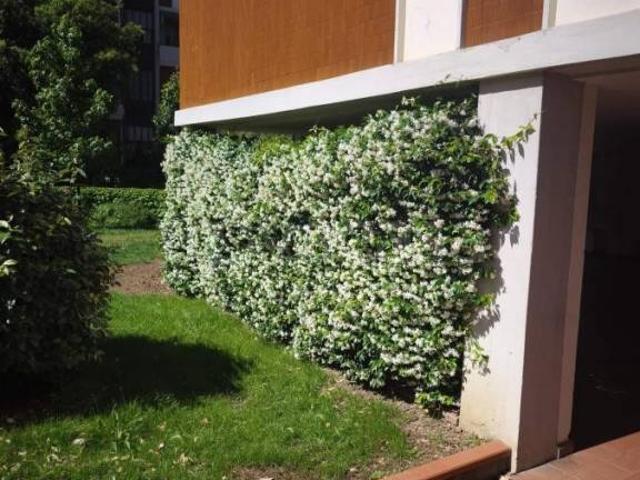 Appartamento in affitto a Firenze via Carlo Pisacane, Careggi Rifredi Dalmazia
