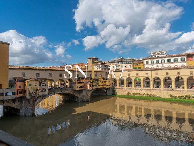 Appartamento in affitto a Firenze via dei Guicciardini, arredato, ristrutturato, panoramica TrovaCasa