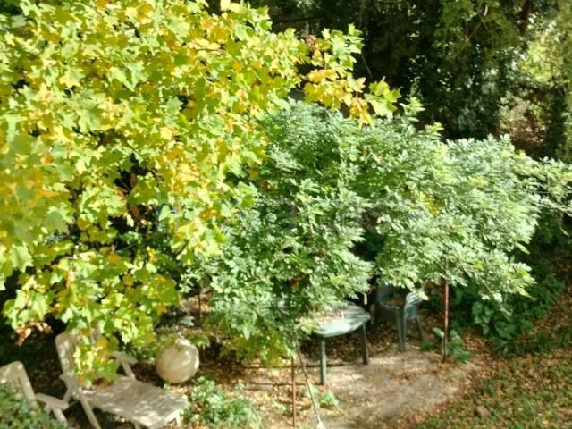 Appartamento in affitto a Firenze viale del Poggio Imperiale, arredato, giardino privato, posto auto TrovaCasa